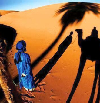 Morocco Camel Trekking