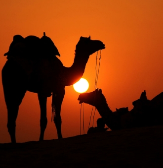 Morocco Camel Trekking