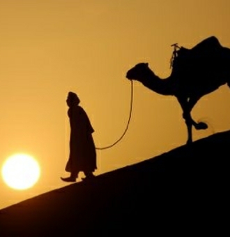 Morocco Camel Trekking