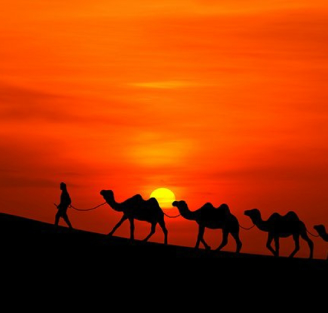 Morocco Camel Trekking