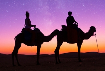 Camel Tour Merzouga