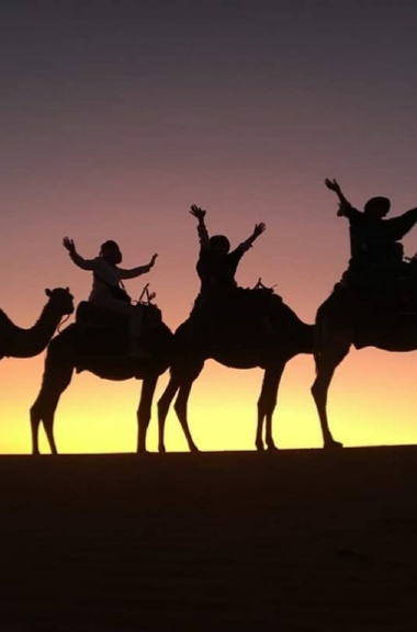 Camel Tours