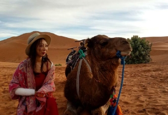 Camel Tour Merzouga