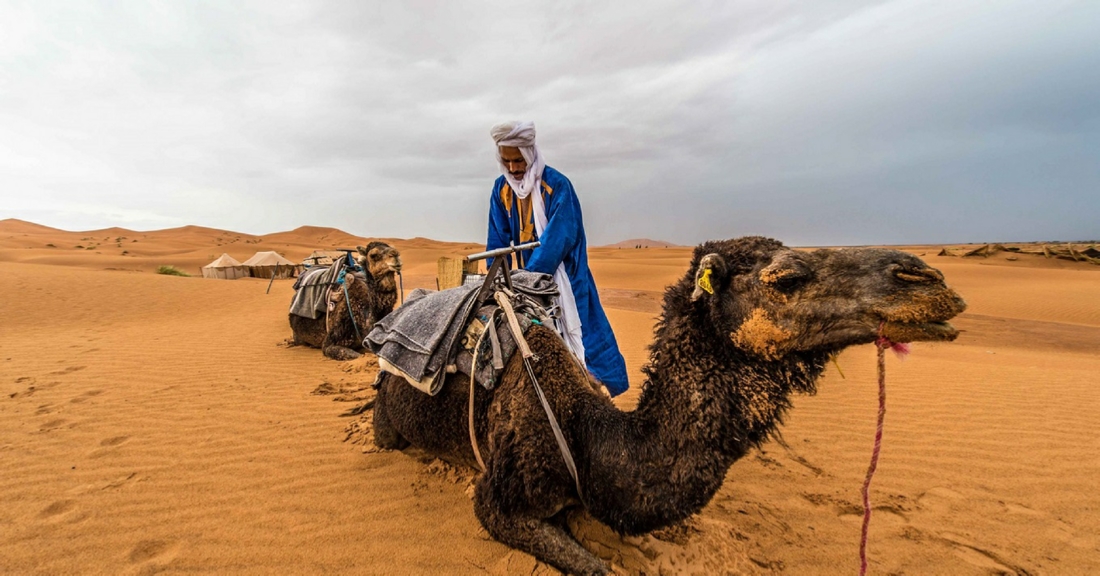 Marrakech To Desert Tours