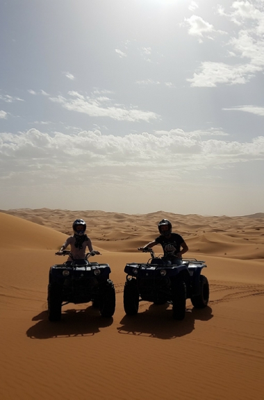 Desert Activities